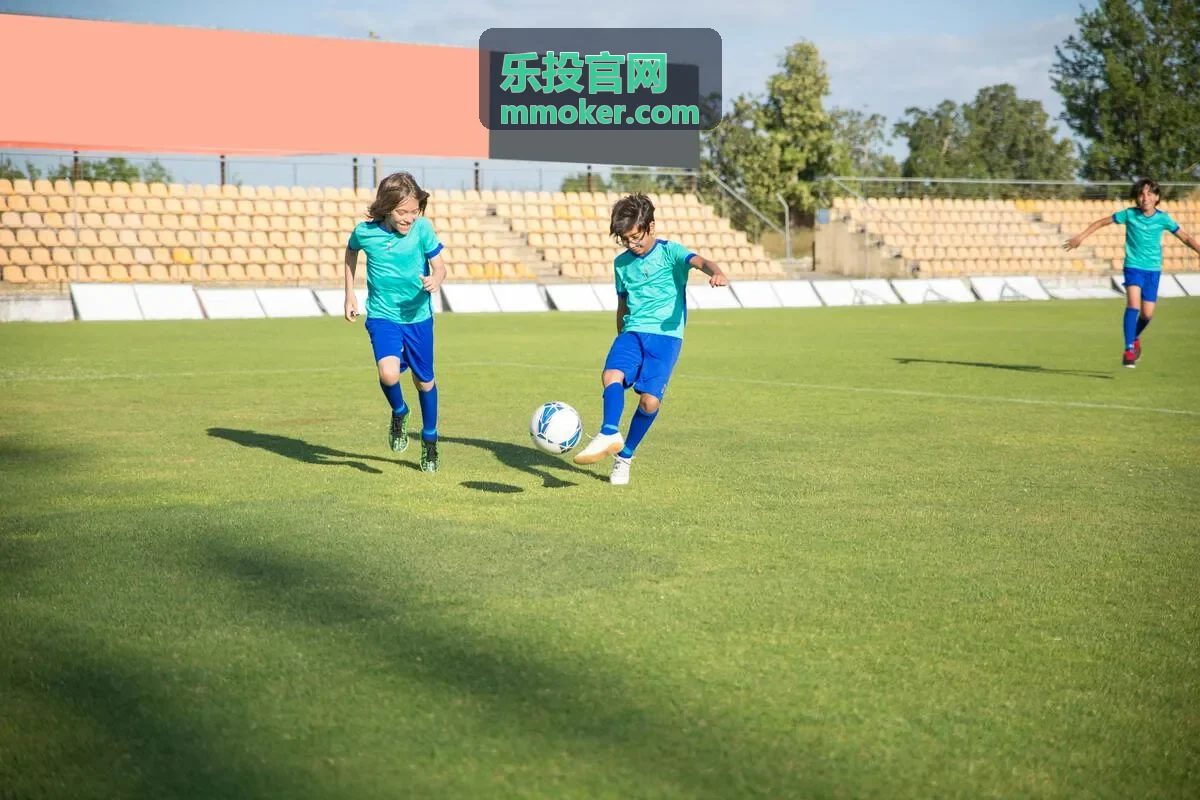 乐投官网资产配置策略